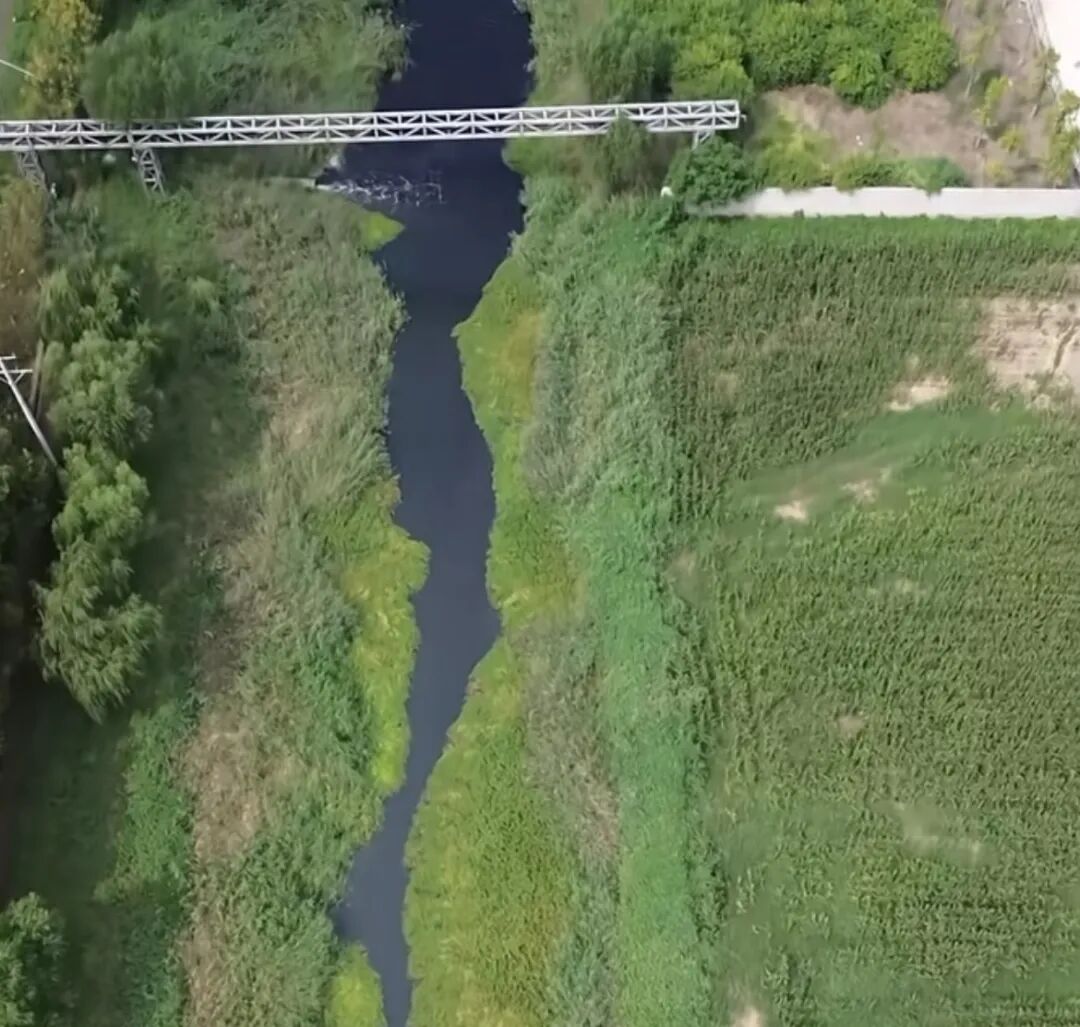 此前网络视频画面