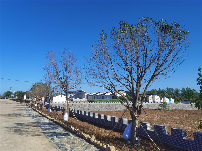 随县联合村改造后焕然一新