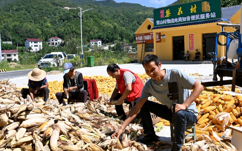 服务站前的直播。席曙光摄