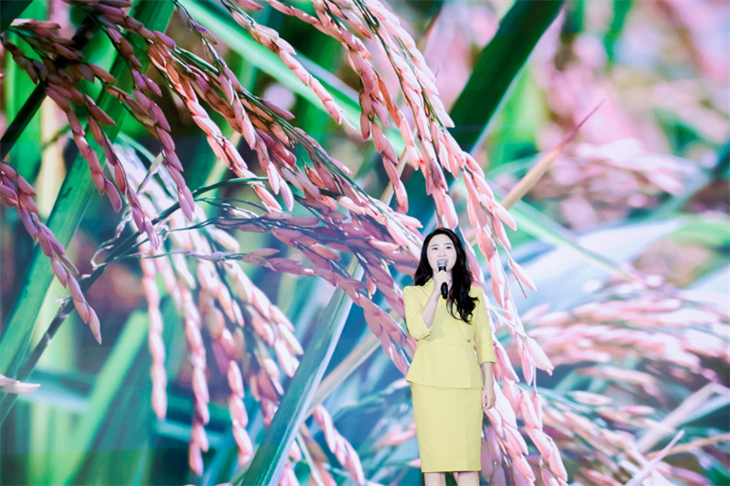 首席推介官向红新吆喝：珠海的朋友看过来，湖北靓米很精彩！