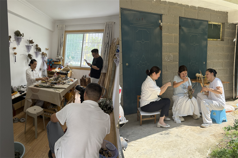 打造直播间现场，带领村民学习棕编