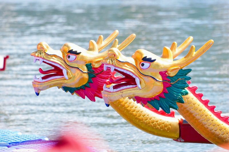龙舟精神与自贸港建设所需的同舟共济、奋楫争先时代气质高度契合。美兰区委宣传部供图