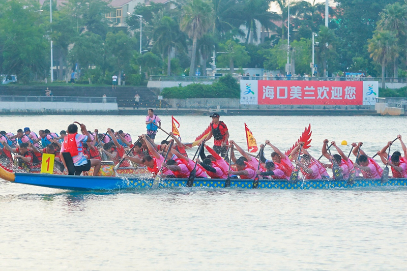 奋楫逐浪。龙舟竞渡星海湾。美兰区委宣传部供图